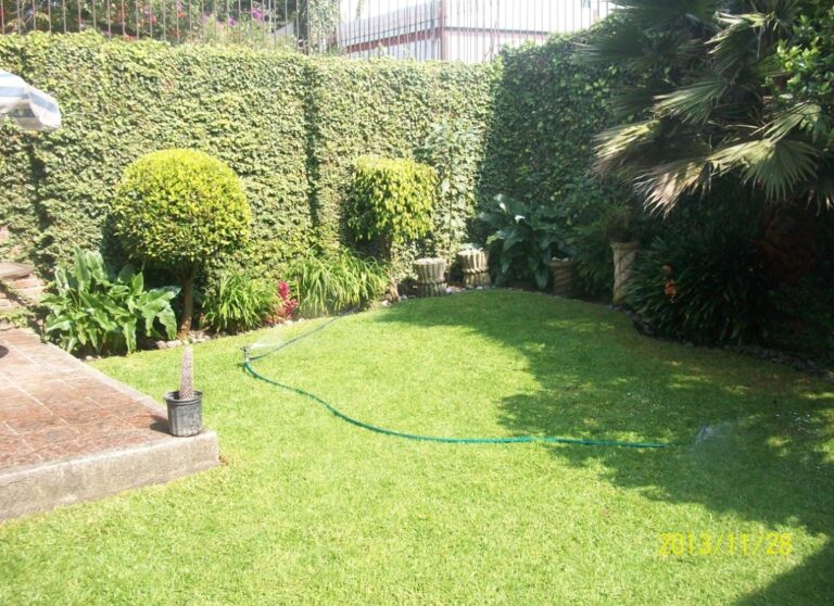 50697 jardines y multiservicios empresariales 768x558