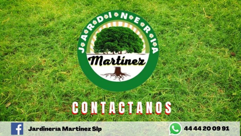 50827 jardineria martinez slp 768x433