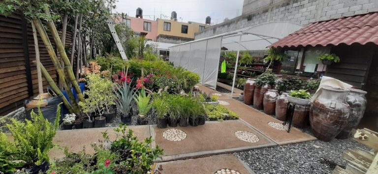 50829 viveros del lago 768x354