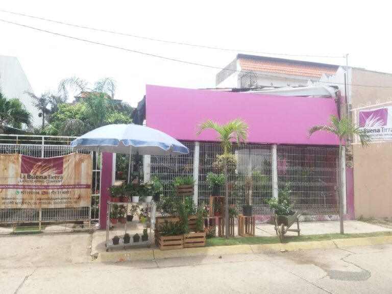 50835 vivero la buena tierra 768x576