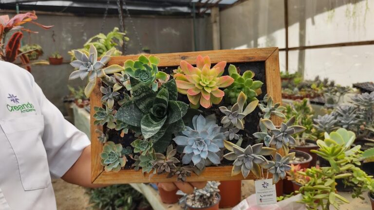 50874 creando ambientes 768x432