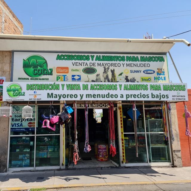 51309 mazcotaz aguascalientes