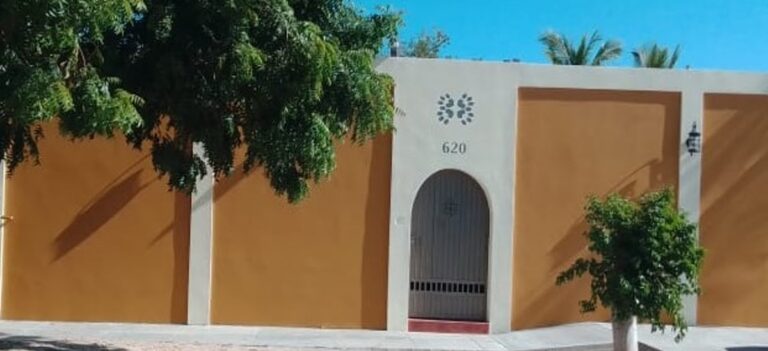 51350 amigos de 4 patas hope for la pawz 768x351