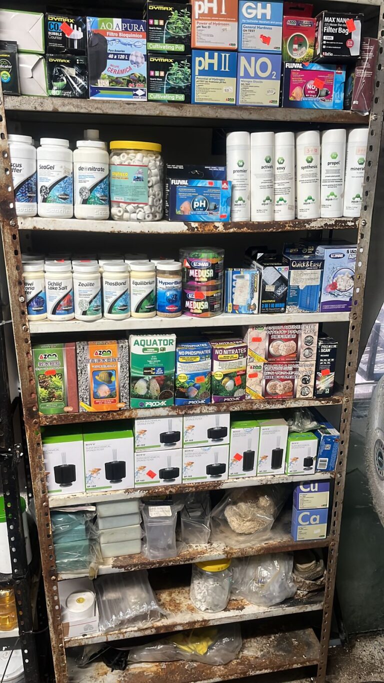 51362 iker peces y plantados 768x1365