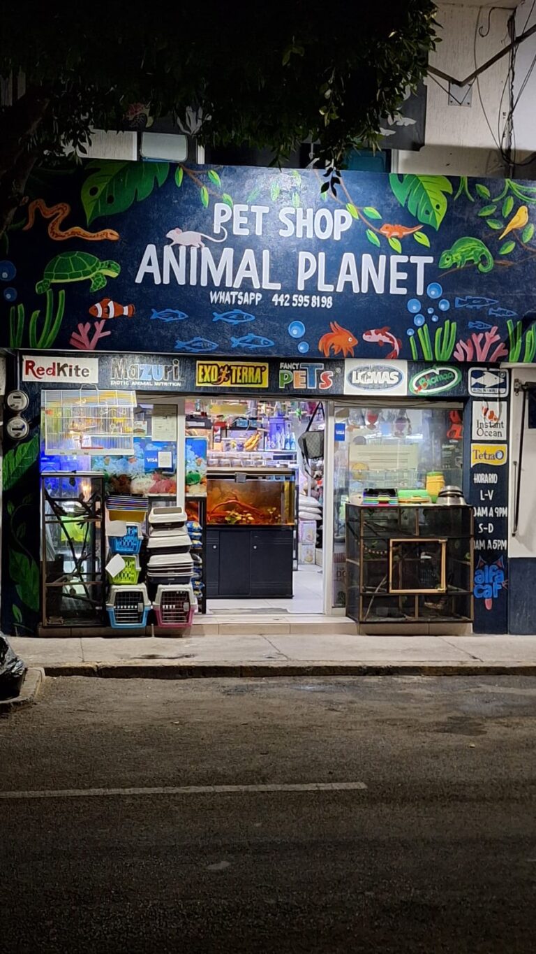 51670 pet shop animal planet 768x1365