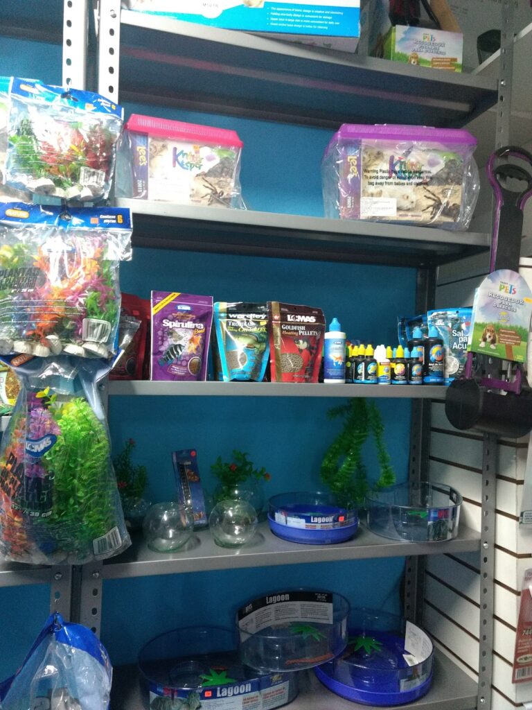 51730 puppies 768x1024