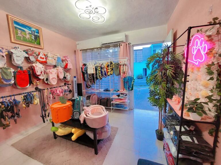 51810 michiguau valladolid 768x576