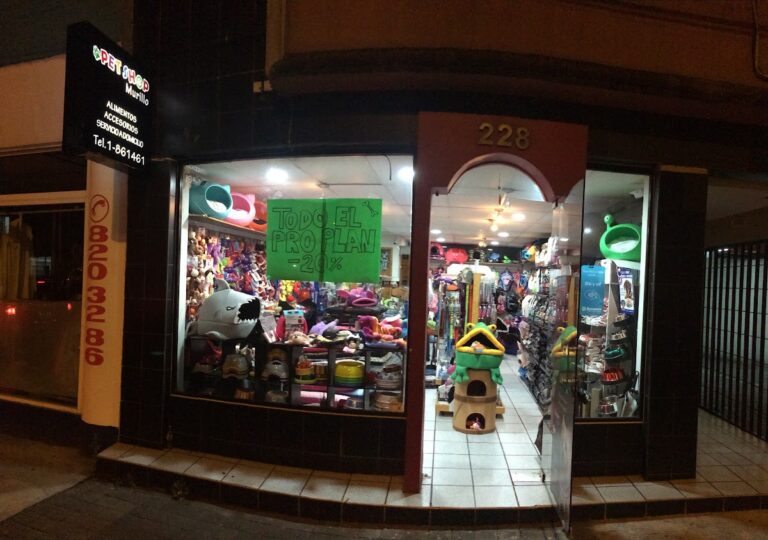 51844 pet shop murillo vidal 768x540