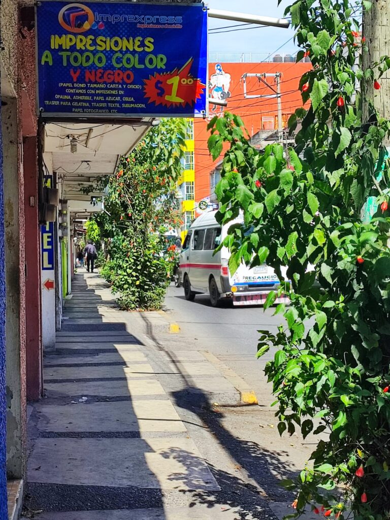 52429 imprexpress chilpancingo 768x1024