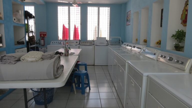 52831 lavanderia y planchaduria gris 768x432