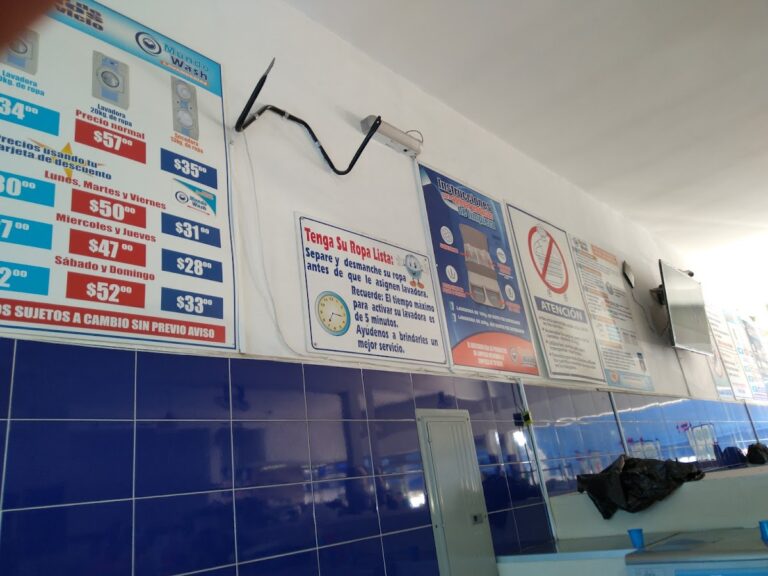 53069 mundo wash 768x576