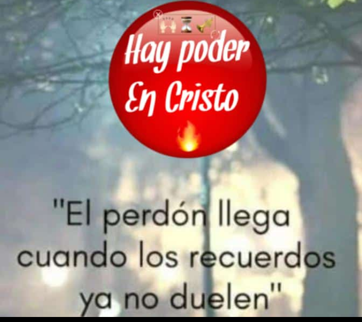 546 servicios alvarado electricidad residencial e industrial