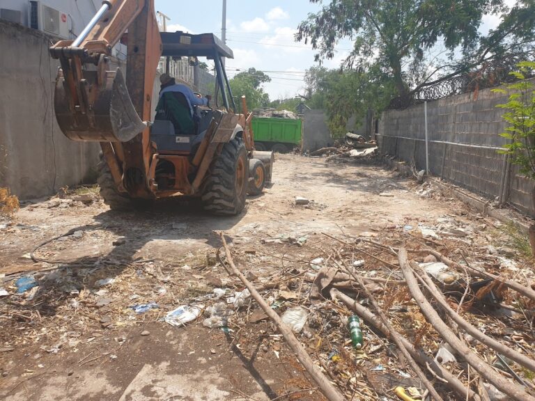 8530 jardineria sogue 768x576