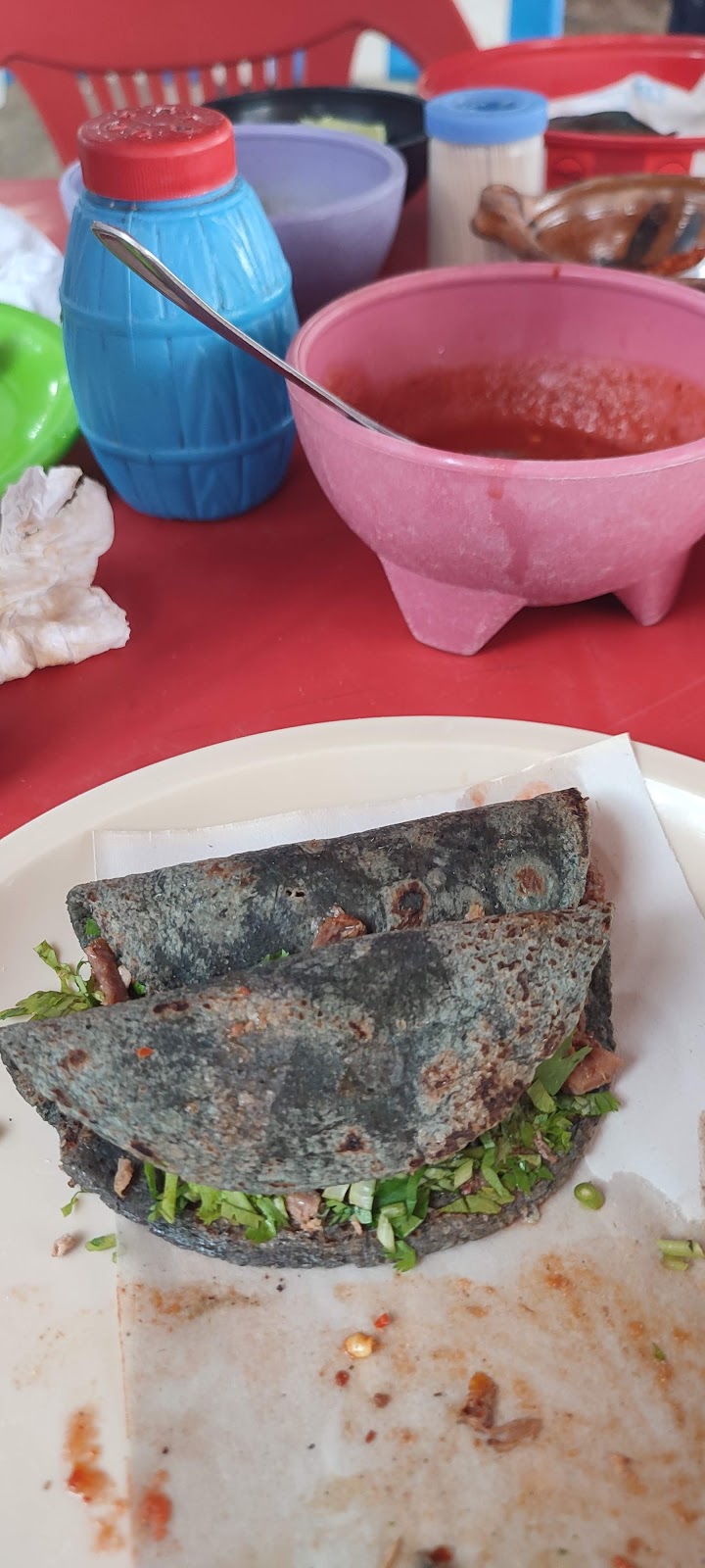 8571 jardin lamparas solares