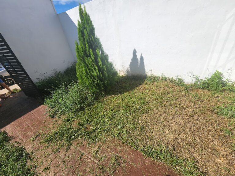 8585 jardineria clean garden 768x576