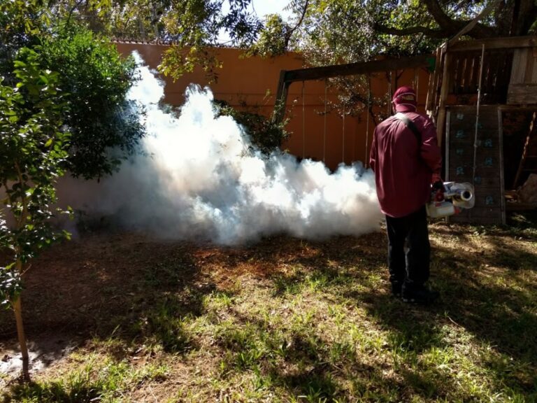9256 fumigaciones apoyos integradores 768x576