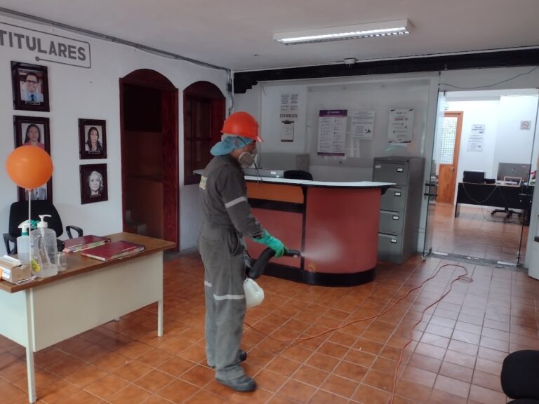 9270 fumydes control integral de plagas 768x576