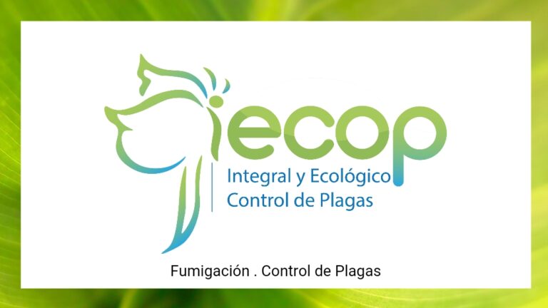 9274 fumigaciones xalapa iecop control de plagas 768x432