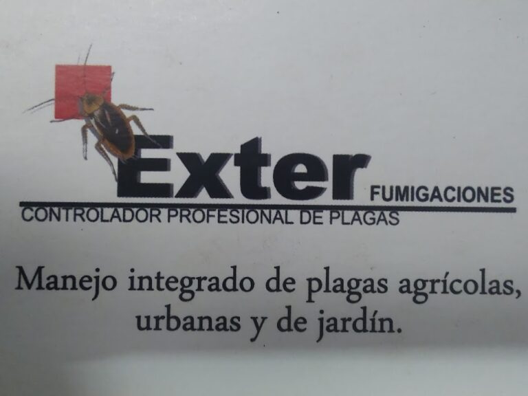 9276 exter fumigaciones 768x576