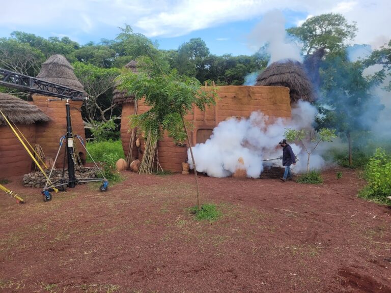 9278 fumigaciones especializadas de xalapa 768x576