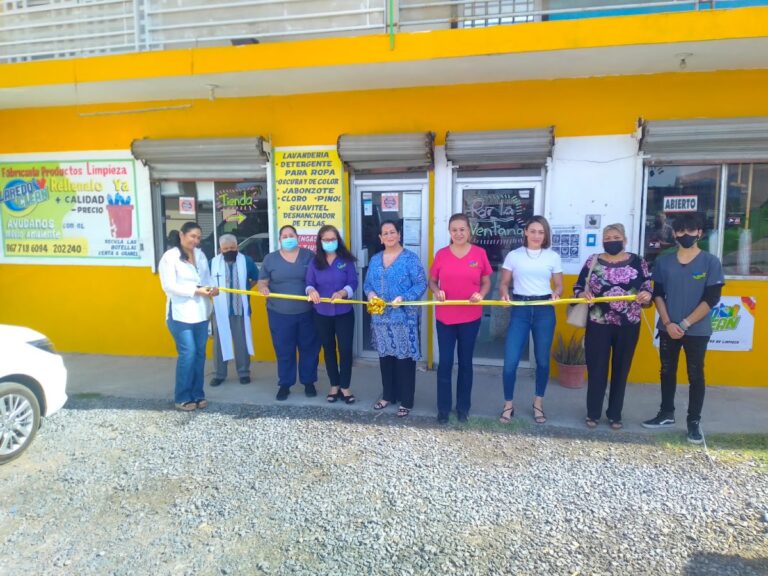 9984 laredo clean fabricante productos de limpieza 768x576