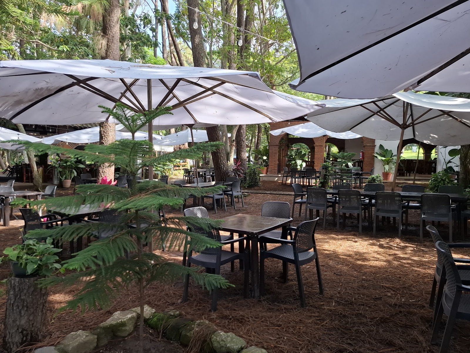 leetx-google-photo-1770152933026-0