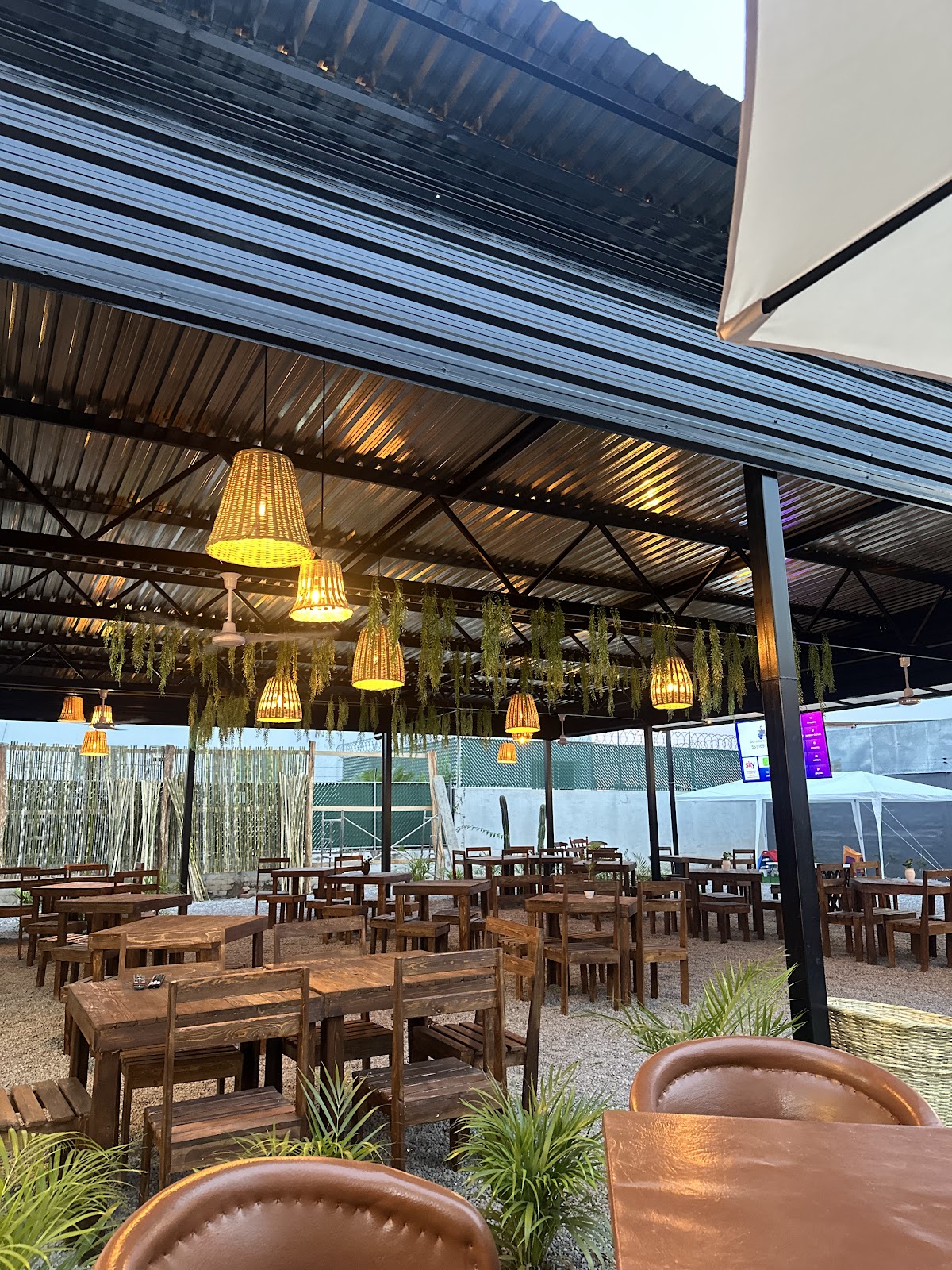 leetx-google-photo-1770154771201-0