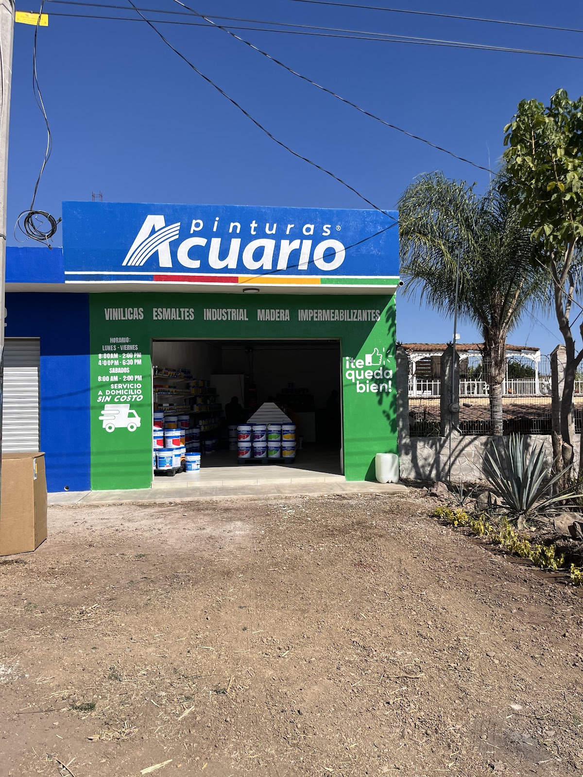 leetx-google-photo-1770166528057-0