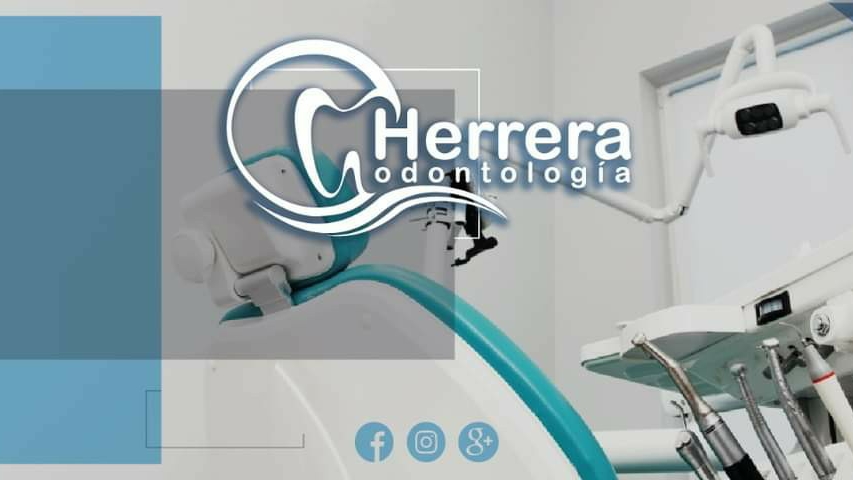 leetx-google-photo-1770166674854-0