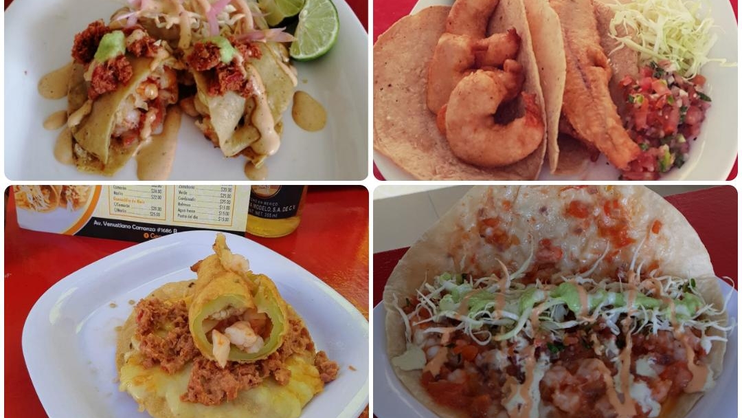 leetx-google-photo-1770169349758-0